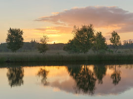 Lever du soleil au Meeuwenplas  - Dwingelderveld - Drenthe (Pays-Bas)