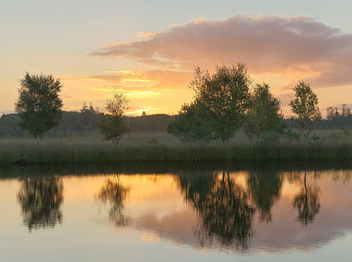 Sunrise at Meeuwenplas – Dwingelderveld – Drenthe (Netherlands)