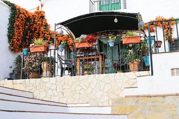 Patio Andalusië