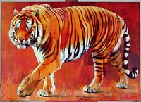 Bengal Tiger