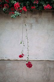 Flower-Power von Lieke Caminada