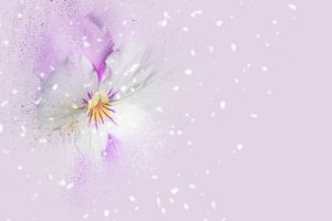 Blüten-Zauber mit fliederfarbenem Hintergrund