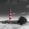 Phare d'Ameland - dans les dunes sur Tony Buijse