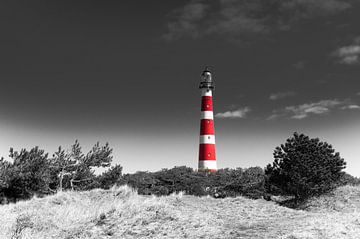 Ameland lighthouse - in the dunes by Tony Buijse