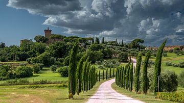 Castle Avenue  von Johannes Jongsma