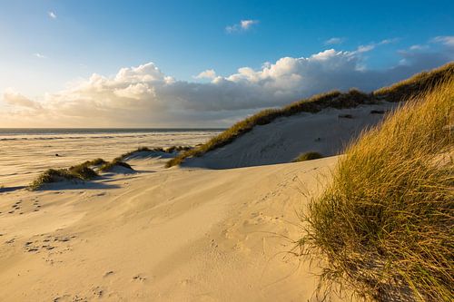 Landschaft in den Dünen auf der Insel Amrum