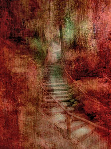 Treppe im Wald