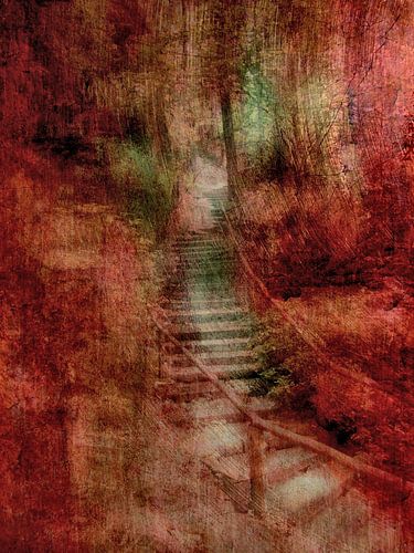 Trappen in het bos