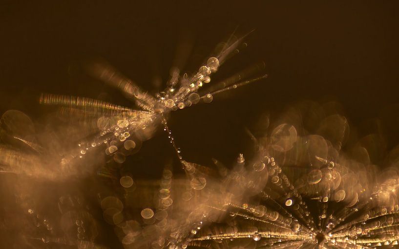 Goudstof van natascha verbij