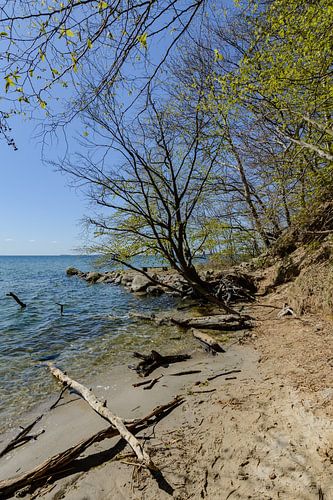 Sur la rive du Goor, sur l'île de Vilm, à Lauterbach sur Rügen