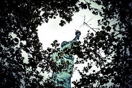 Statue of Liberty New York Photo – Wall Decoration Canvas Acrylic Glass 08 by FotoDennis.com | Werk op de Muur