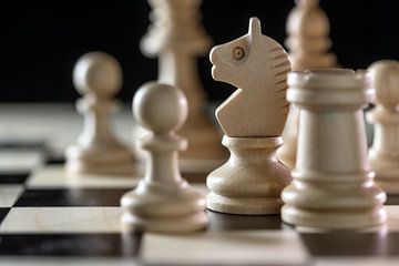 White wooden chess pieces with focus on the knight on a chessboard against a black background, copy  by Maren Winter