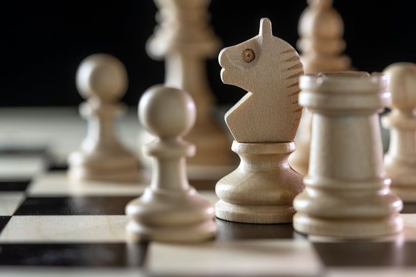 Twisted loyaliteit kortademigheid Witte houten schaakstukken met focus op de ridder op een schaakbord tegen  een zwarte achtergrond, ko van Maren Winter op canvas, behang en meer