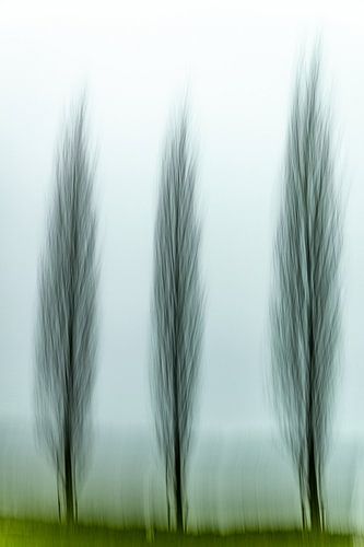 Déclenchement 202412-I