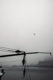 Crochet Portuaire dans la Brume de Ruoholahti sur Studio Grille-Pain – Création Photo