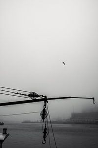Hafenhaken im Nebel von Ruoholahti