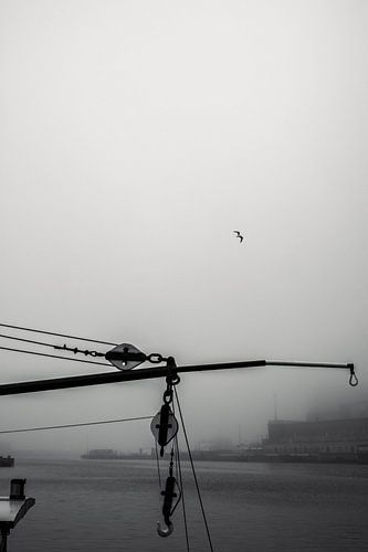 Crochet Portuaire dans la Brume de Ruoholahti