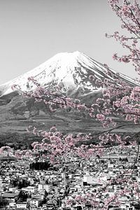 Vue imprenable sur le mont Fuji pendant la floraison des cerisiers | colorkey
