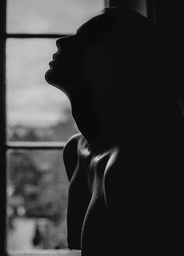 Fenster