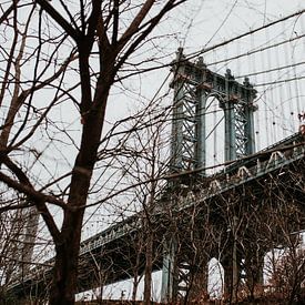 Manhattan bridge in de herfst | New York City, Amerkia van Trix Leeflang