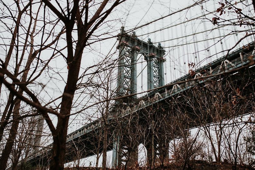 Manhattan bridge in autumn | New York City, Amerkia by Trix Leeflang