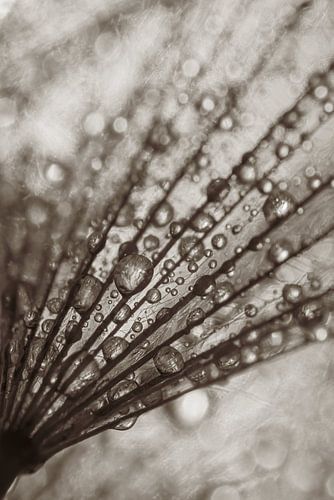 Abstract: Lijnen en druppels verdwijnen in de achtergrond