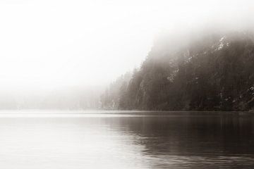Ruige Natuur | Alpsee Duitsland | minimalistisch | sepia | fotobehang van Laura Dijkslag