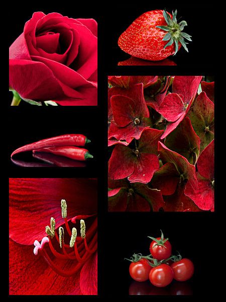 red by Klaartje Majoor