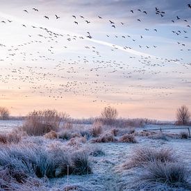 Awakening by Piet Haaksma