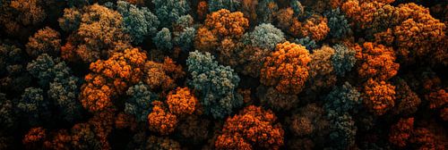Boomtoppen in de herfst