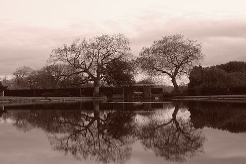 Le Rosarium