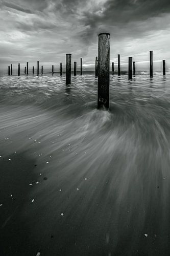 Flood in the palm village