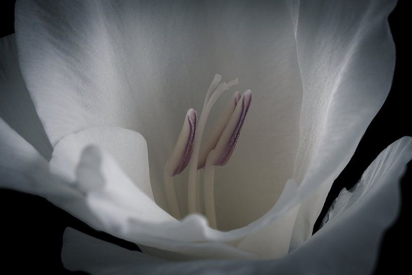 Stamp by Ralf Hickmann