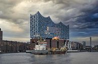 In front of the Elbphilharmonie by Das-Hamburg-Foto thumbnail