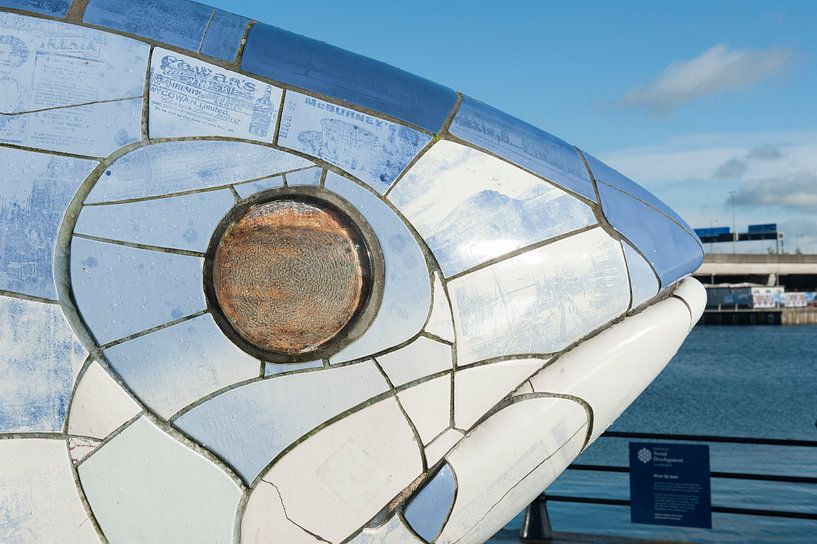 The Big Fish Belfast by Richard Wareham