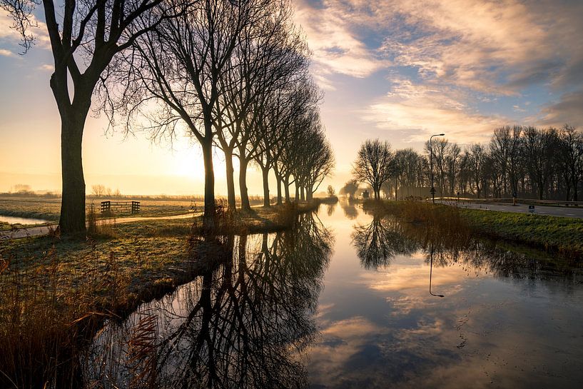early in the morning... by Anneke Reiss
