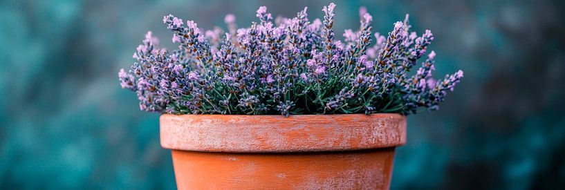 Lavendel Topf von Poster Art Shop