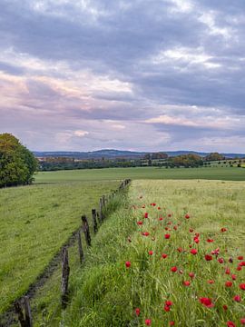 Het platteland van de Vogezen in Frankrijk