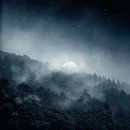 Nachtschaduw - bos bij maanlicht van Dirk Wüstenhagen thumbnail