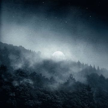 Nachtschaduw - bos bij maanlicht van Dirk Wüstenhagen