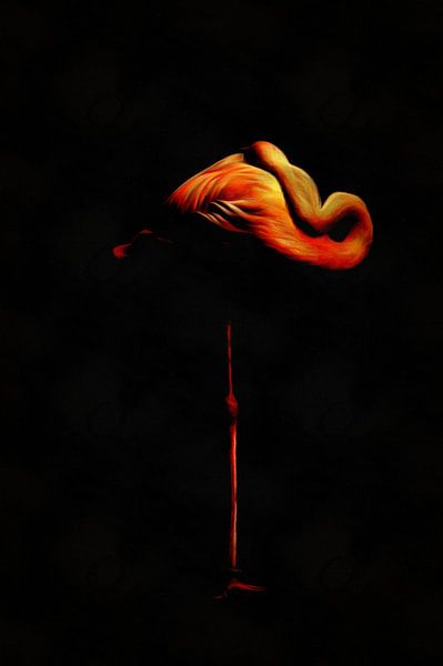 Flamingo 2 - Flamant van Reiner Borner