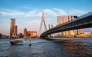 Skyline von Rotterdam mit der Erasmusbrücke und der Maas
