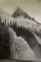 Emperor falls