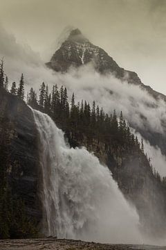 Emperor Falls von Tobias Toennesmann