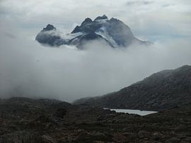 Mistige toppen van Maaike van Stratum