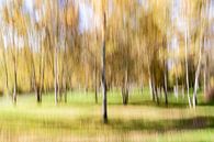 Autumn in the swabian south of Germany von VIDEOMUNDUM Miniaturansicht