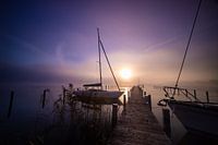 Morning Mist