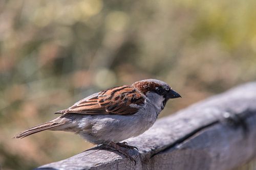Il est temps de partir