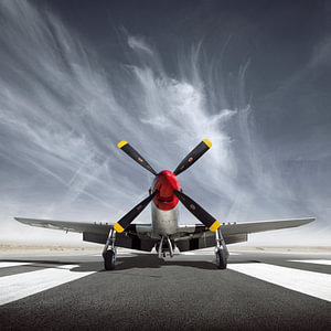 P-51 Mustang Warbird