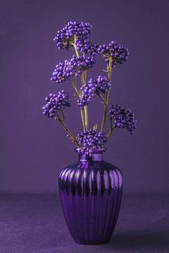 Colours 09 Purple van Natasja van Heesch